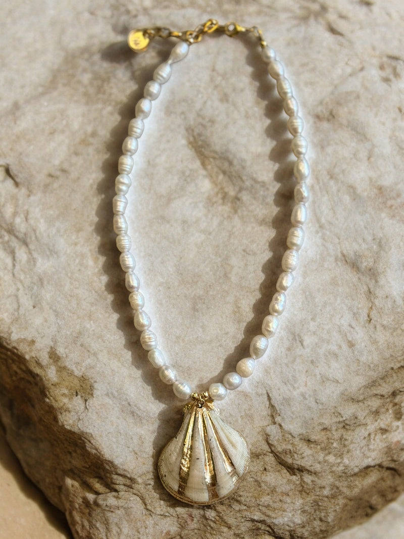 M3 SEA SHELL NECKLACE