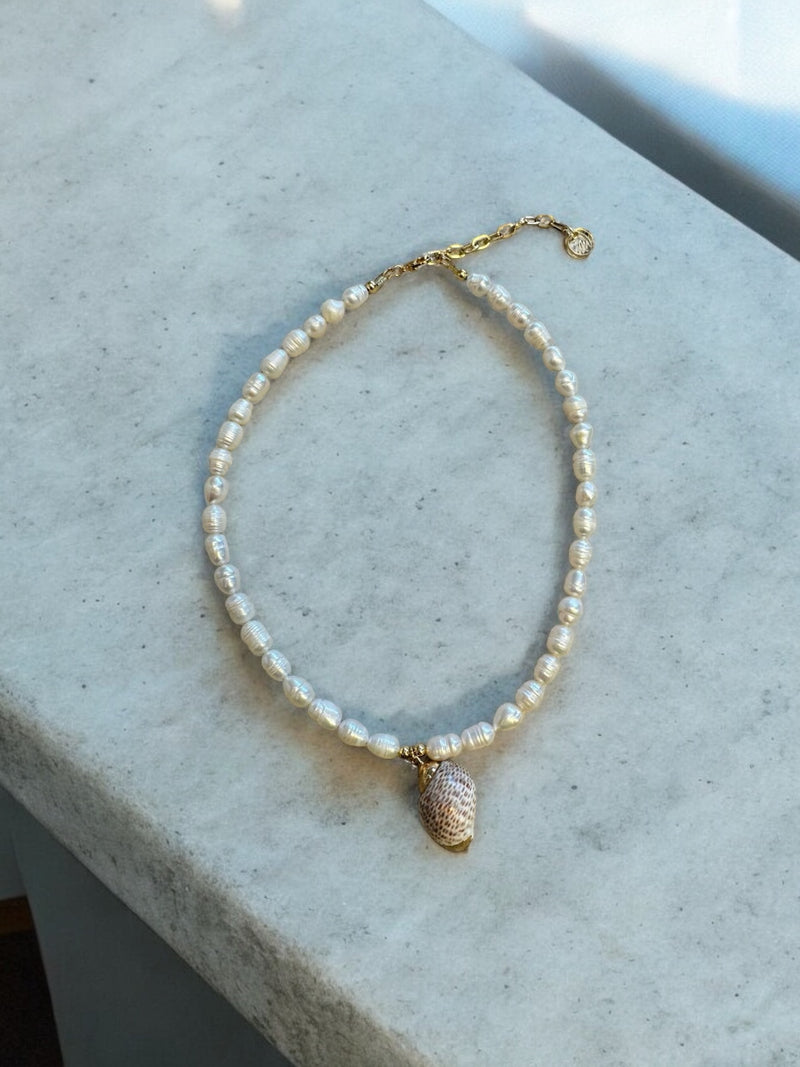 M3 SMALL SHELL NECKLACE